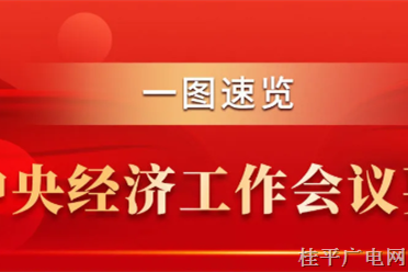 一图速览中央经济工作会议要点