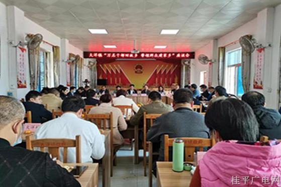 【乡村振兴 桂平行动】大洋镇吹响“万名干部回故乡 带领群众建家乡”集结号