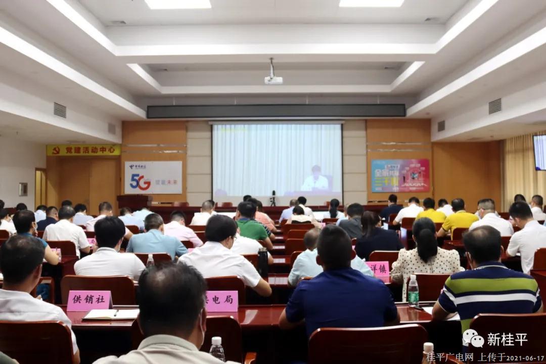 桂平市组织收听收看贵港市安全生产工作暨深入开展安全生产专项整治三年行动电视电话会