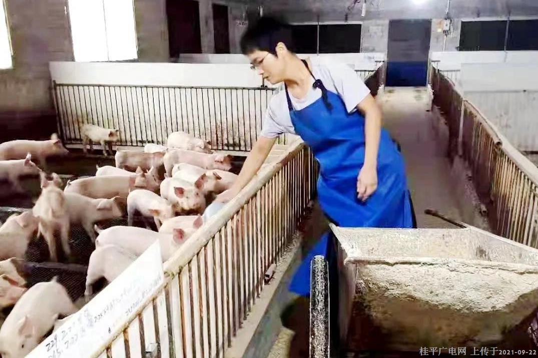 廖松连：科技养殖示范 巾帼致富能手