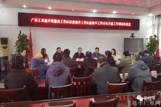 广西工业振兴特派员工作队驻贵港市工作队梁艺光一行莅临我市指导工作