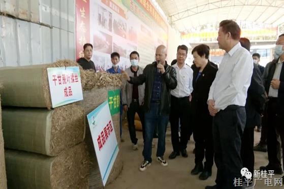 自治区农业生态资源环境保护技术培训班到我市观摩秸秆综合利用情况