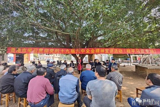 让十九届六中全会精神“飞入寻常百姓家”