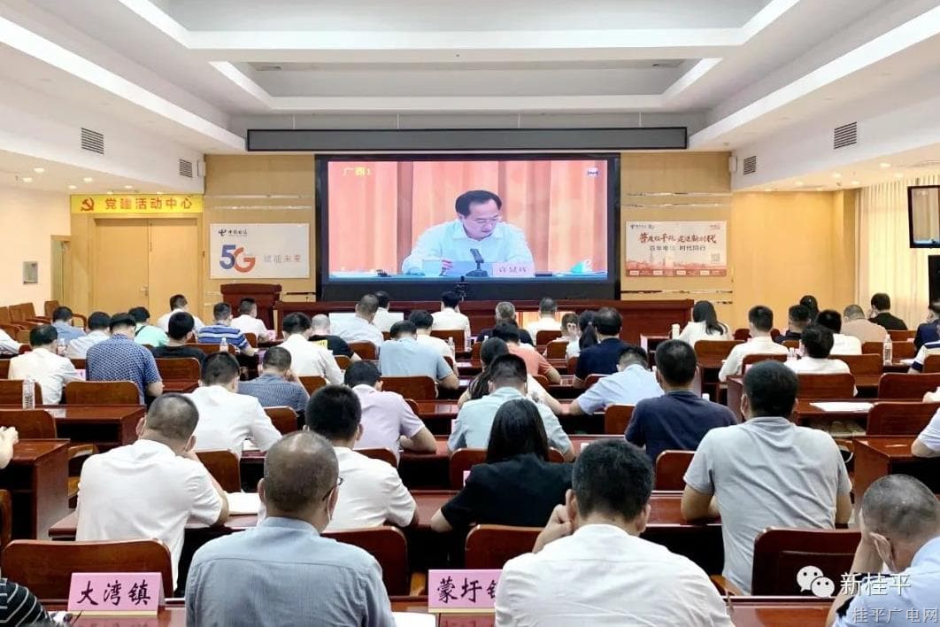 桂平市组织收听收看全区城乡自建房安全专项整治工作推进暨“百日行动”部署电视电话会议