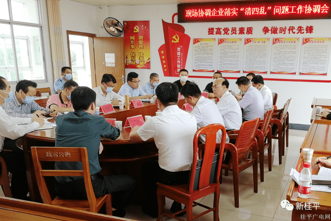 贵港市人大调研组到木圭镇召开现场协调企业落实“清四乱”问题工作协调会