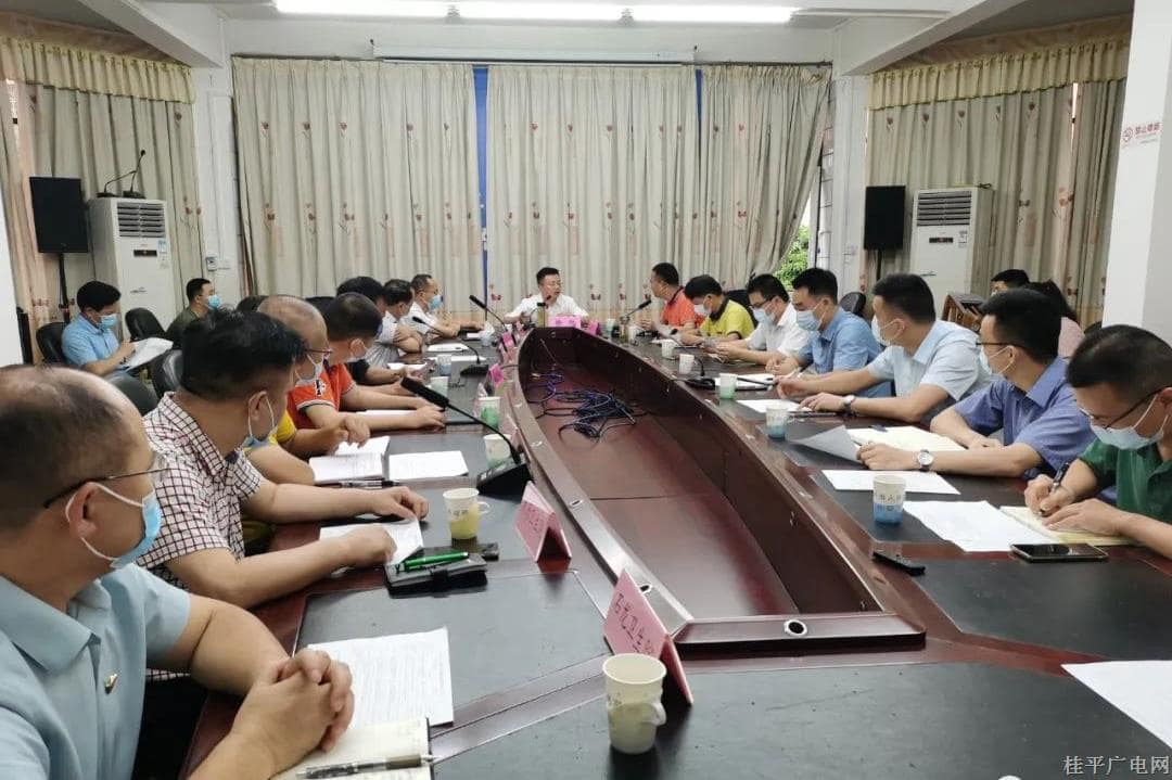 我市召开卫健系统重大项目规划建设务虚会