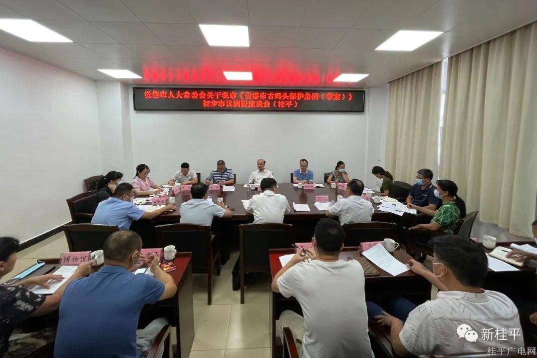 贵港市人大常委会调研组到我市对《贵港市古码头保护条例（草案）》进行初步审议调研工作