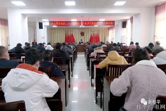 学习贯彻党的二十大精神桂平市宣讲团报告会（中沙镇专场）开讲