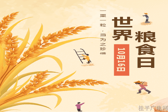 世界粮食日：谁知盘中餐，粒粒皆辛苦