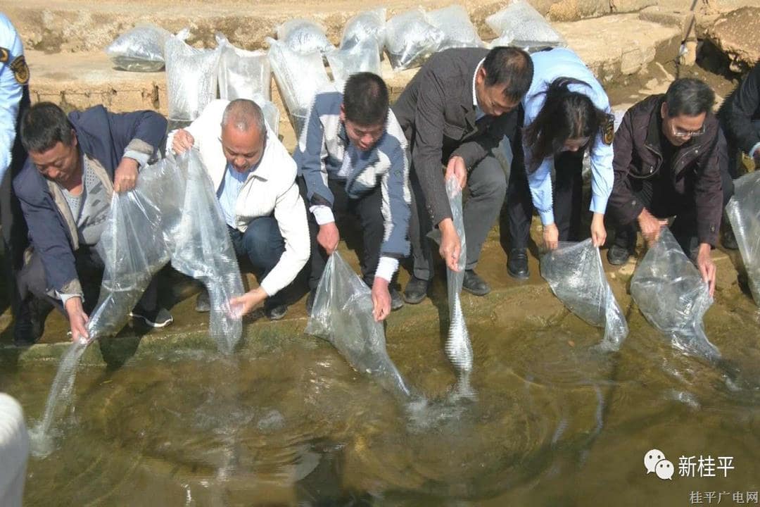 微信图片_20231122092603.jpg