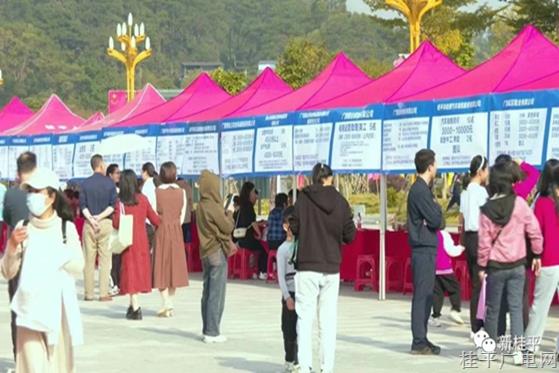 桂平市：做好人才大文章 赋能高质量发展