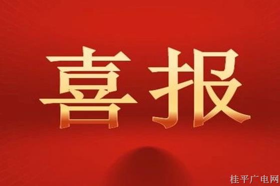 第一届广西促进就业先进集体和先进个人名单出炉！桂平市4个集体和3人获表彰！