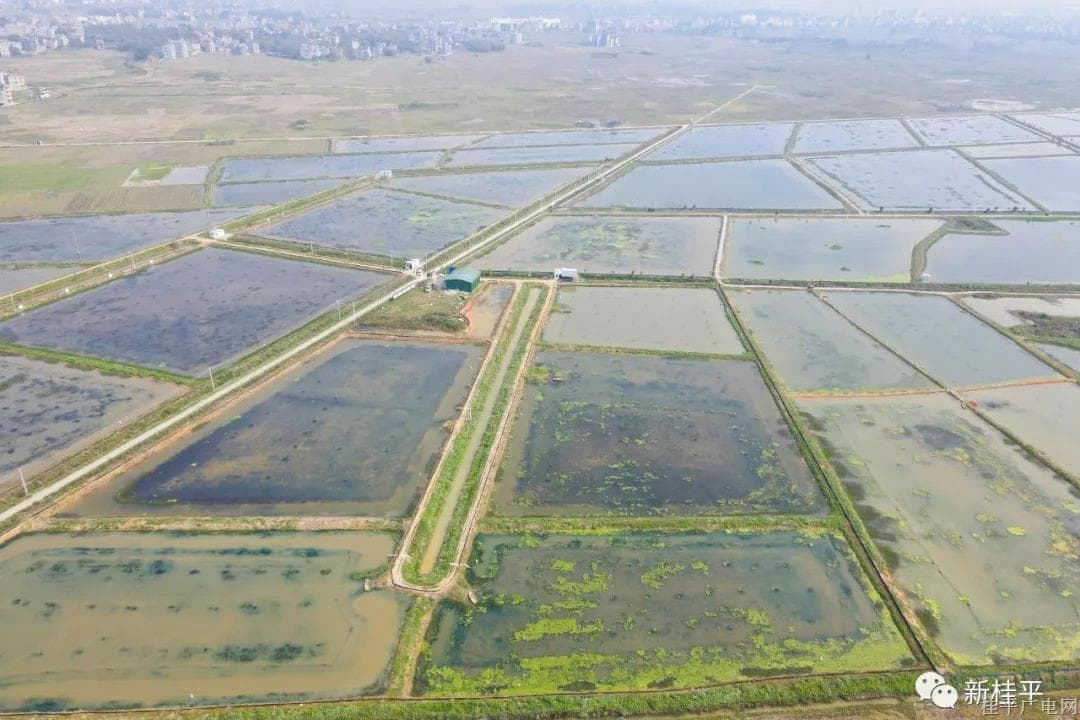 微信图片_20230224103328.jpg