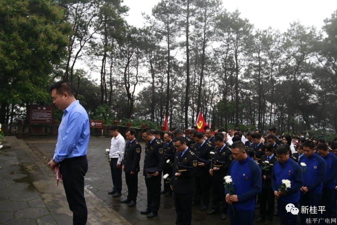 【网络中国节·清明】桂平市应急管理局开展“缅怀革命先烈”主题党日活动