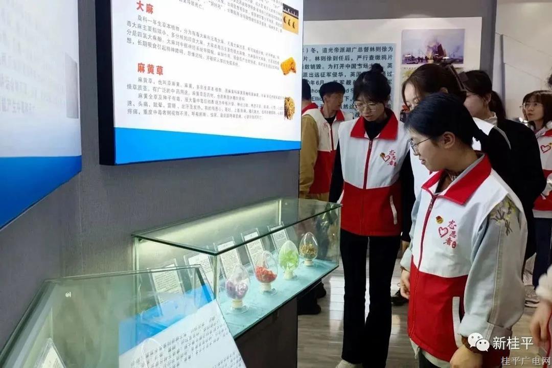 【禁毒宣传】桂平市组织西部计划志愿者开展禁毒教育活动