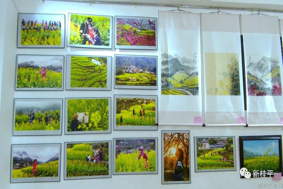 桂平市举行“佛荔之春”美术摄影展开展仪式