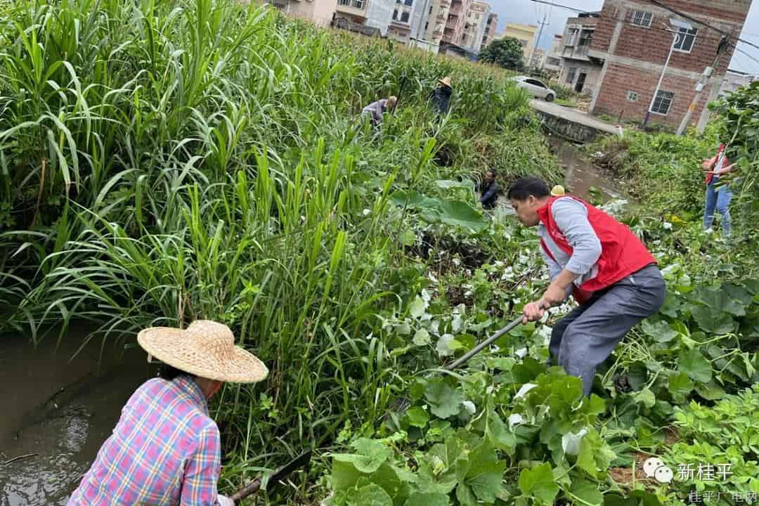 【难点问题书记一线办】木根镇党委书记：多方合力疏河道 共建乡村新风貌