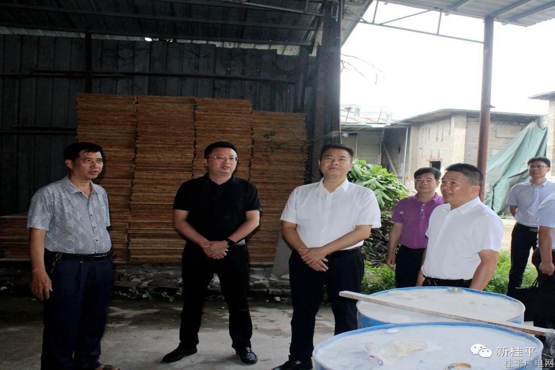黄德佳率队到桂平市供销社开展工作调研