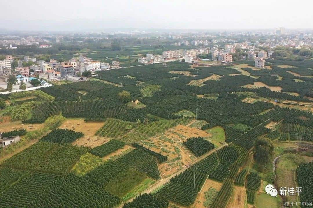 微信图片_20230807102236.jpg