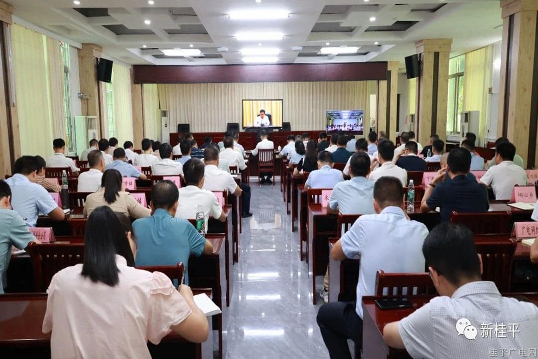 桂平市组织收听收看全区学思想拼经济稳增长惠民生“六个攻坚行动”工作推进电视电话会议