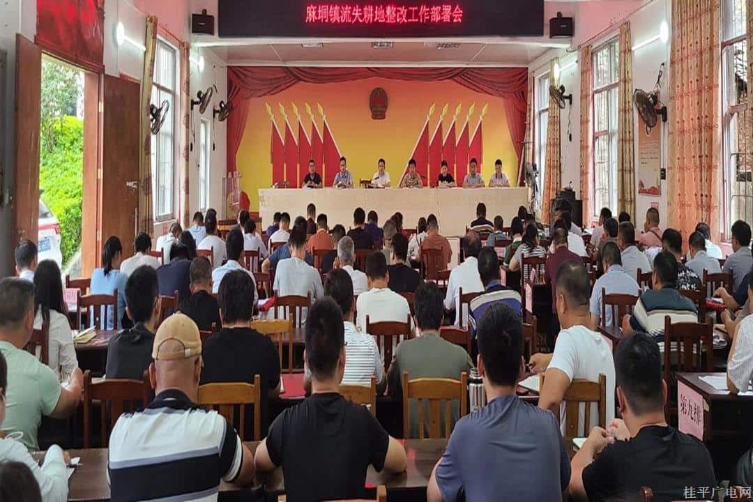 【难点问题书记一线办】麻垌镇党委书记：硬手抓流失耕地整改 筑牢乡村振兴“耕”基