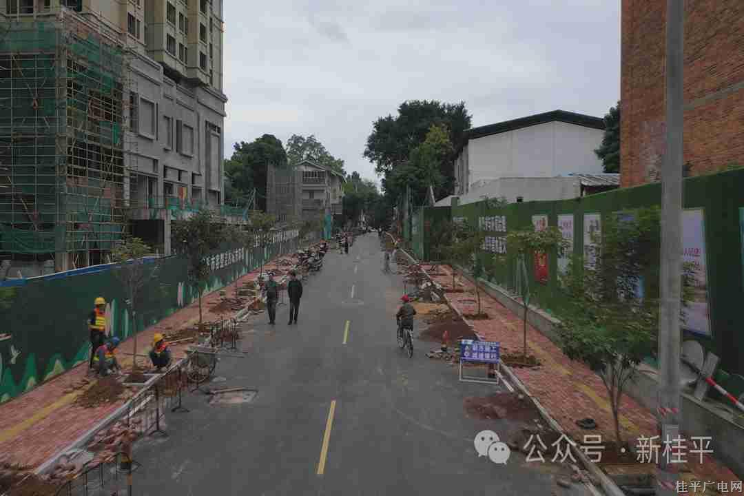 微信图片_20240112093101_副本.jpg