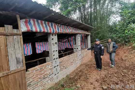 10头黄牛组团“出走” 警民联手8小时如数寻回