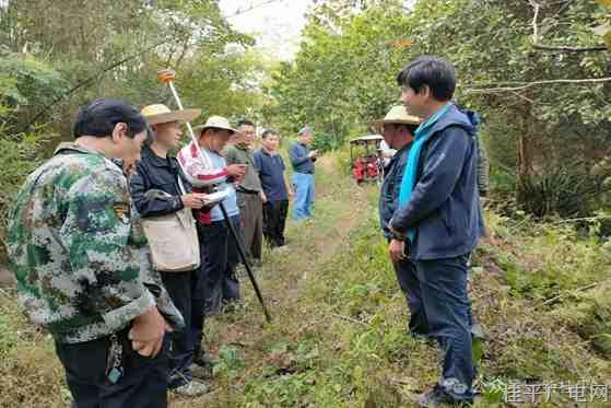 社坡镇征地工作显担当 高效护航重点项目建设